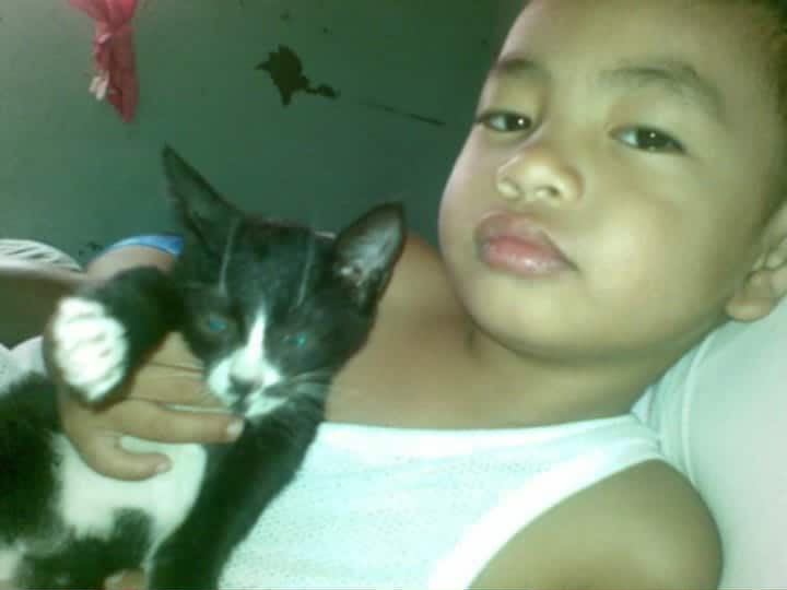 Your Photo
